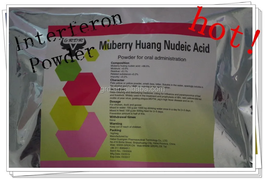 
GMP manufacture Antibacterial drugs Low price Interferon Powder for veterinary use only with high quality 