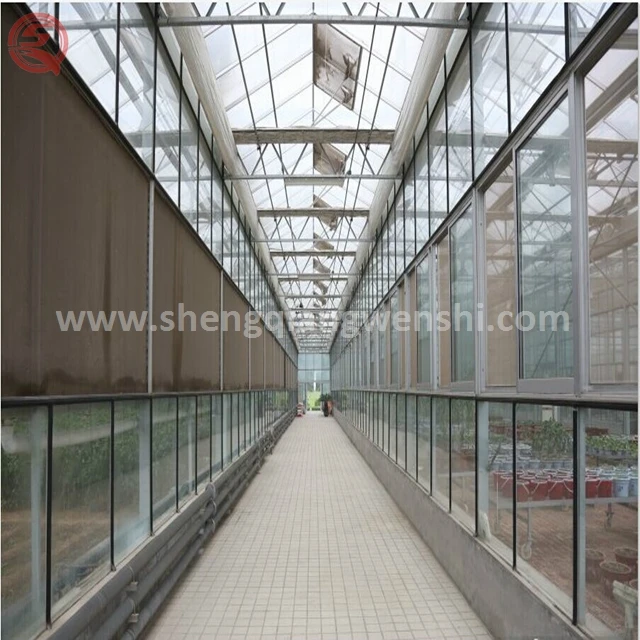 China supplier custom design orchid glass greenhouse