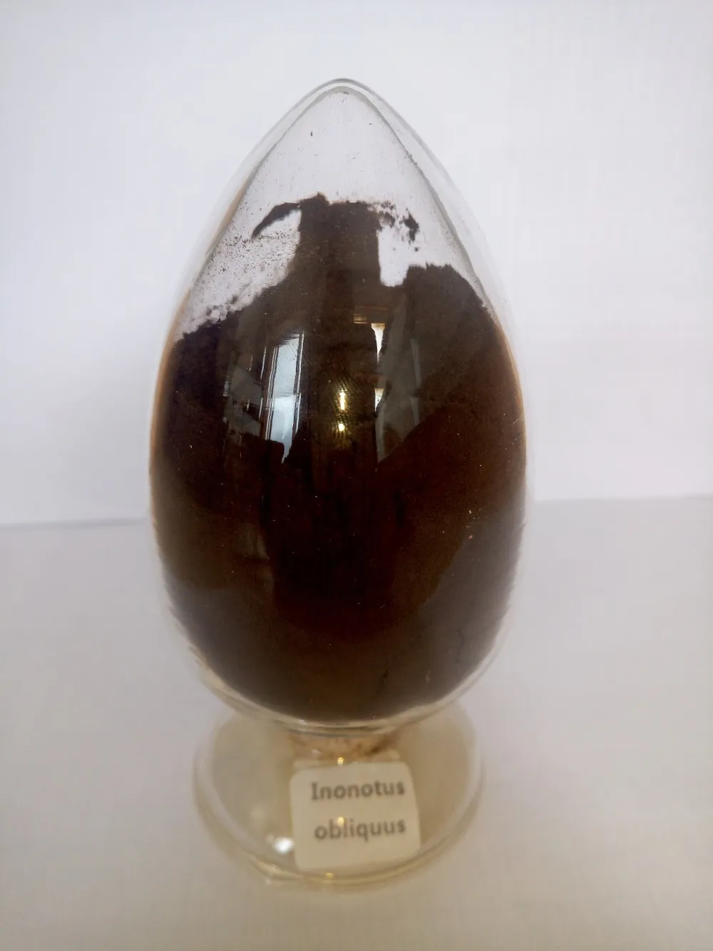 мы поставляем высокое качество phaeoporus obliquus чага гриб Inonotus extract