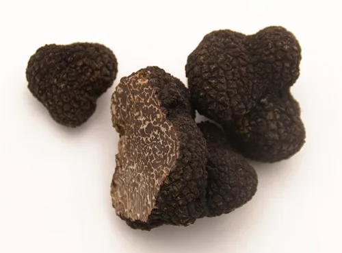 Excellent truffle truffle supplement black truffle extract powder for Health Supplement Upgrade
