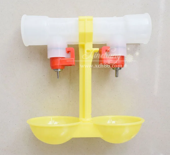 automatic drink for poultry teat and for chicken