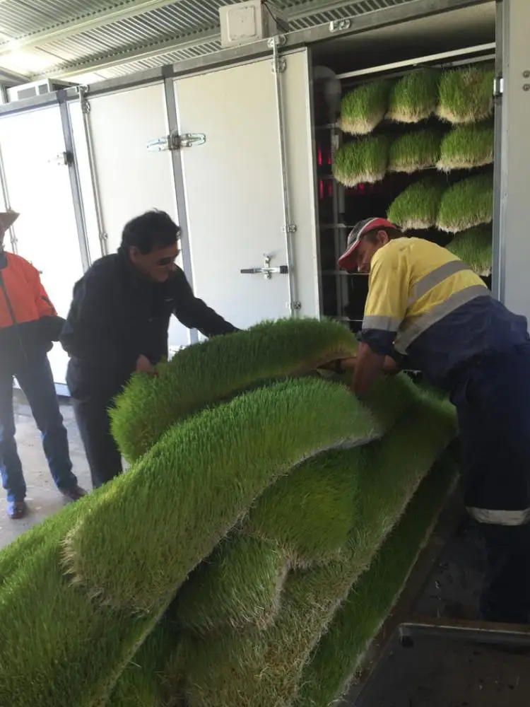 Solar&Wind Powered Farm Hydroponic Green Grass Fodder Machine built in 40HQ Freezer shipping container