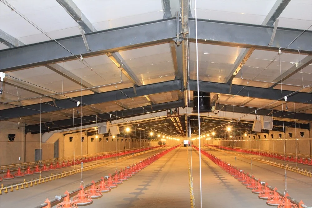 Quick Assemble Commerical Complete Controlled Poultry Shed for Chicken Farm