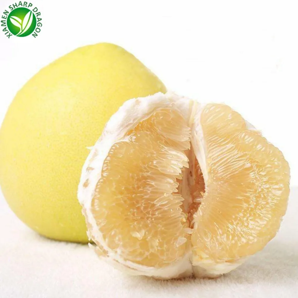 Экспорт грейпфрутов цена свежий медовый помело фрукты для продажи