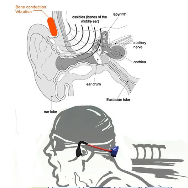 Swimming Training Aquatic Swimmer Bone Conduction Headphone Transmitter Walkie Talkie Microphone