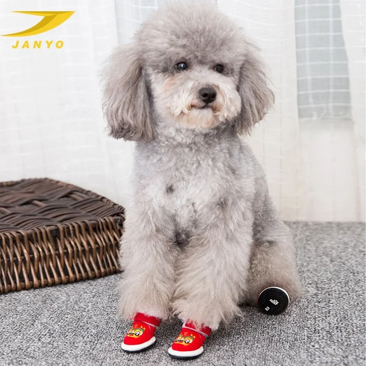 Gold velvet tangs cotton dog shoes and boots