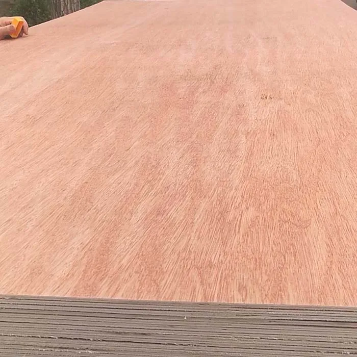 Фанера для мебели ББ/СС бинтангор, фанера бинтангор 3,6 мм для Ливии по хорошей цене