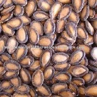 Water Melon Seed Kernal