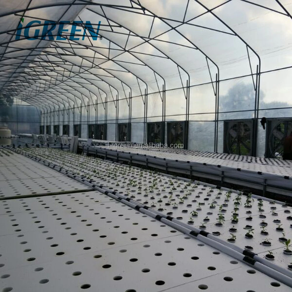 Planting Greenhouse Sprinkler Film Large Green House Metal Frame Large Plastic Tray for Seed Planting Large Glass Flower Base