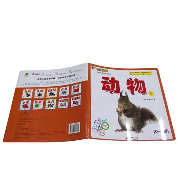  Китайские произношенные книги Pinyin для иностранных