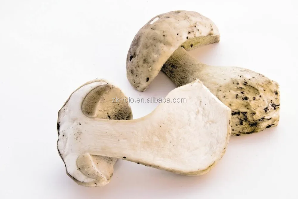 
Dried Porcini Mushrooms 