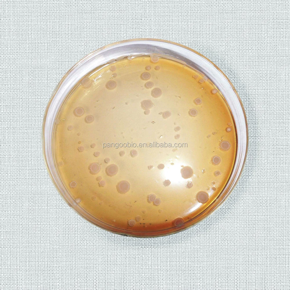
Bacillus Laterosporus PRO/05 Bacillus Laterosporus