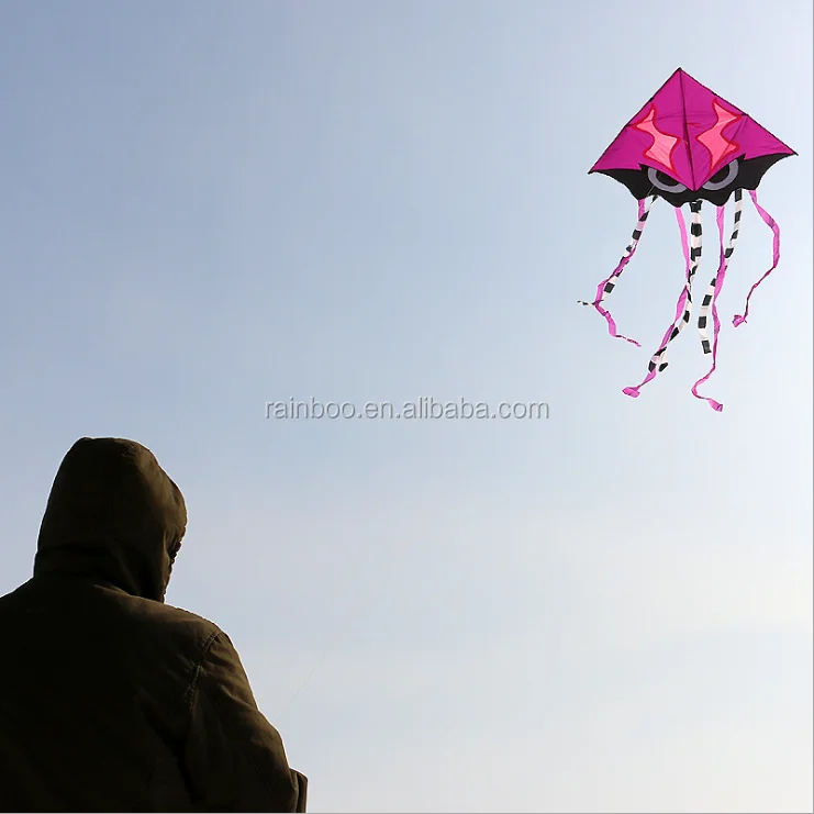 
Promotional new designs custom shape cheap kite 