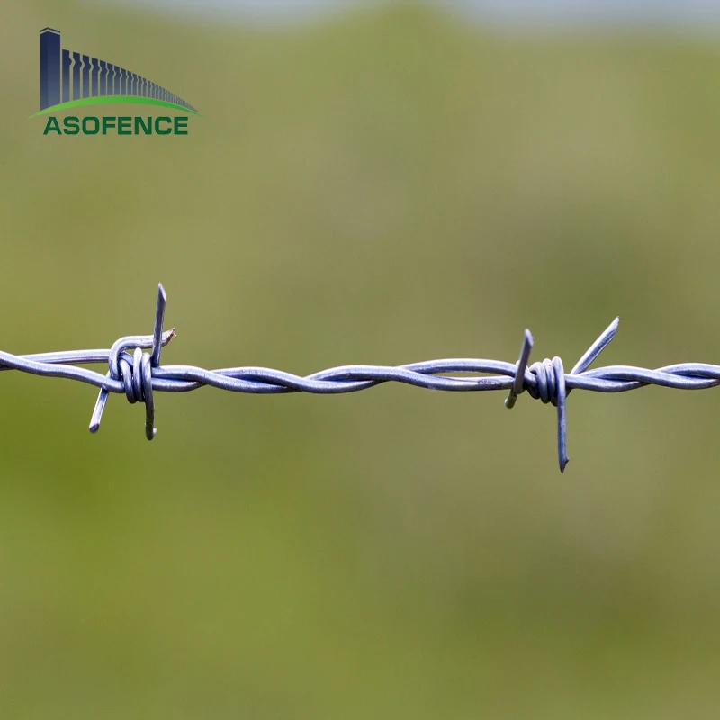 Galvanized Traditional Twist 400M 500M 50Kg Per Roll Double Strand Barbed Wire Price