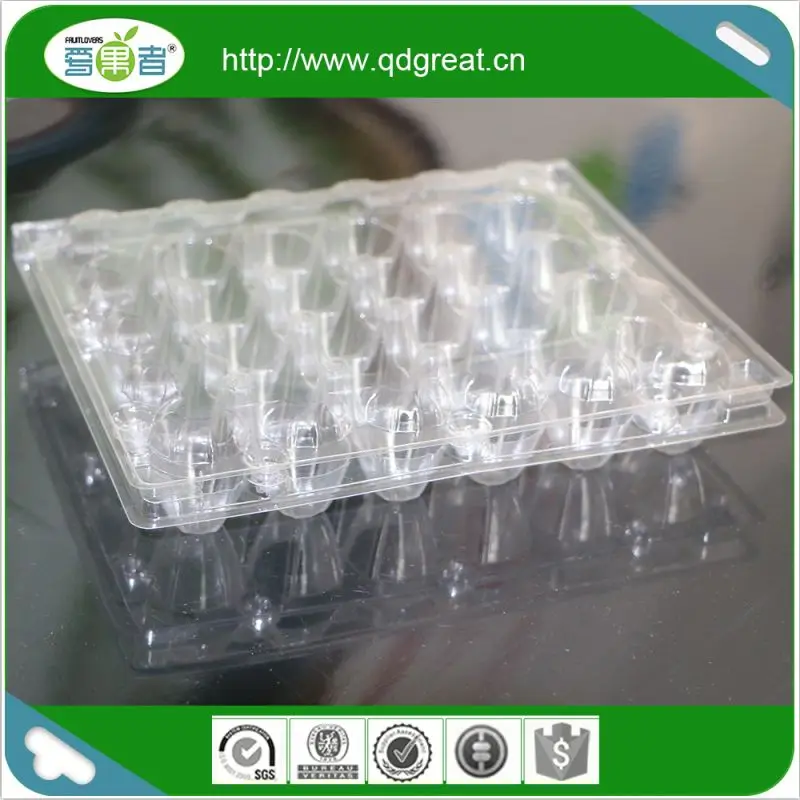 12 Quail Egg Tray Plastic
