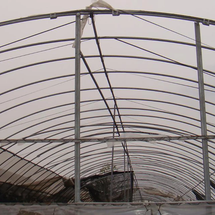 
Good price economical single span tunnel tropical greenhouse 