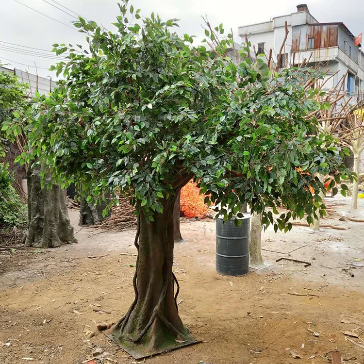 China Manufacturer Outdoor Large High Quality Fiberglass Artificial Evergreen Ficus Tree