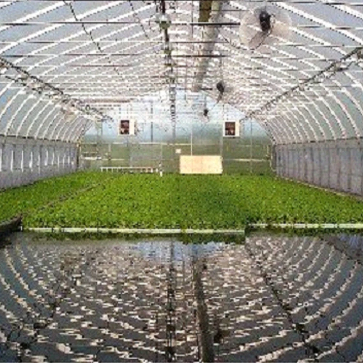 
China Supplier High Tunnel Greenhouse Aquaponic System 