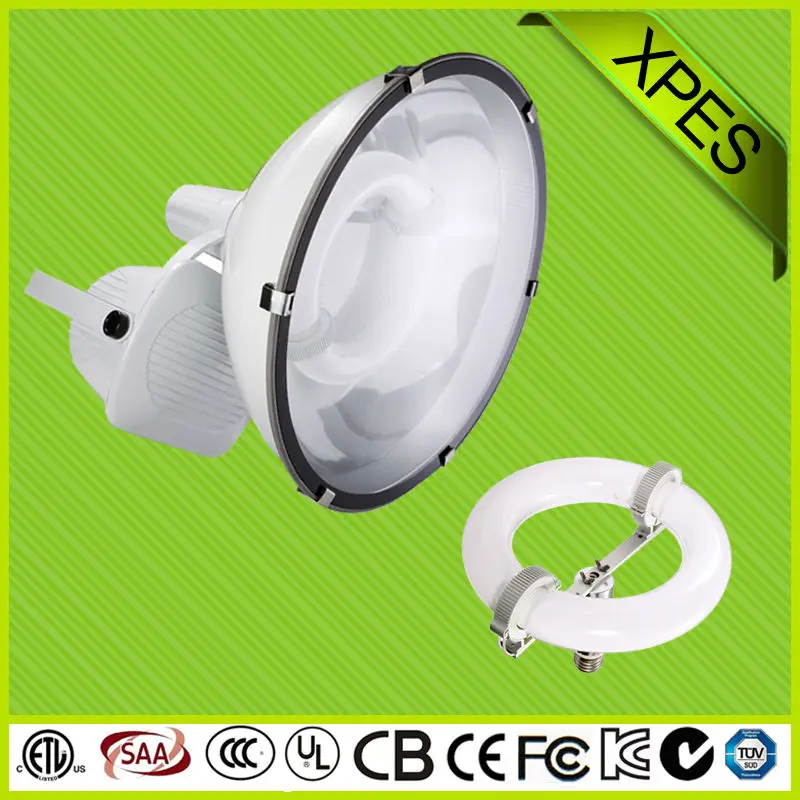 высокая световая эффективность electrodeless индукции наводнения лампы магнитного газоразрядной лампы индукции наводнения лампы