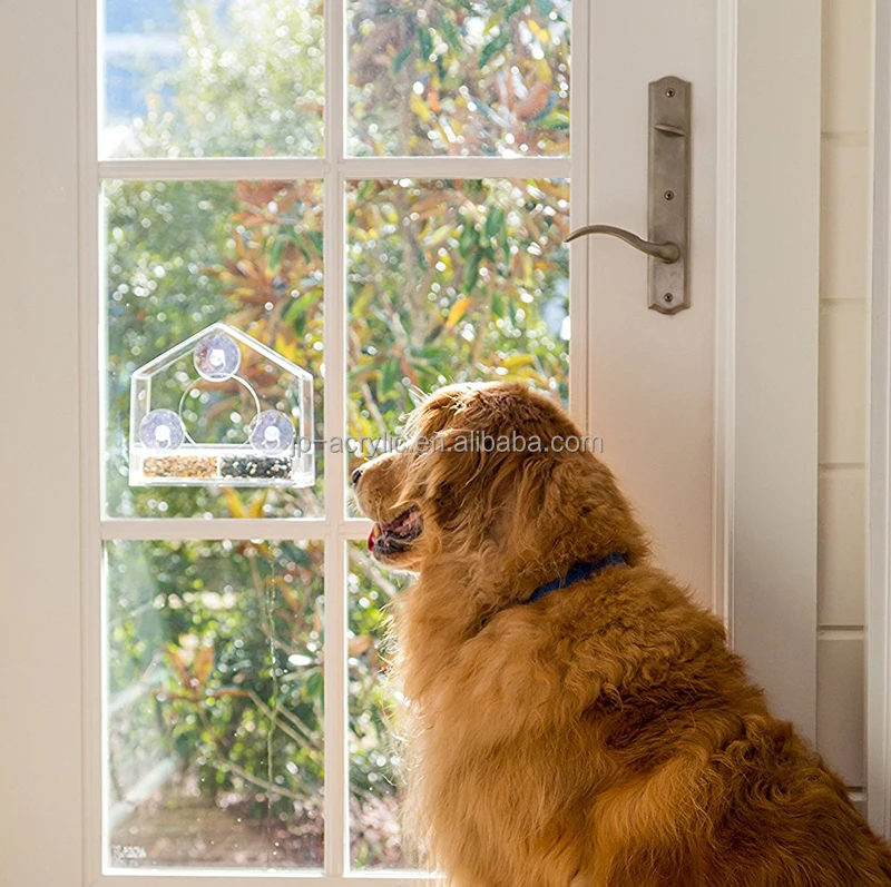 Wholesale Clear Acrylic Squirrel Proof Window Wild Bird Feeder with Tray and Suction