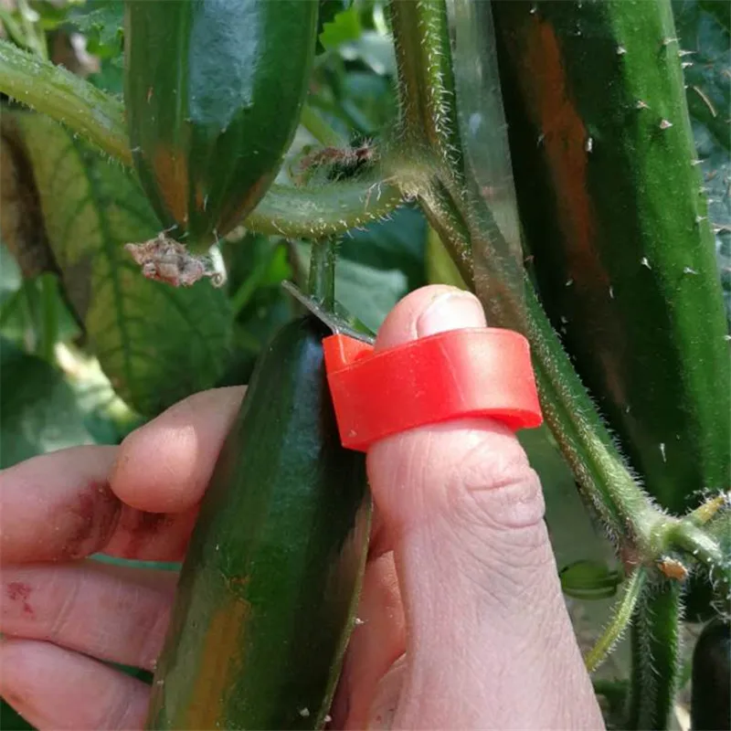 Garden Tomato Cucumber Grape Fruit Blade Tool Ring Melon Scissors