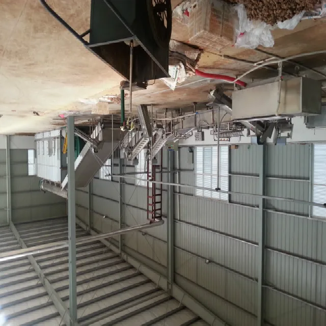 Fruit & Vegetable Processing Machines DW series Multi-Layer Mesh Belt Dryer