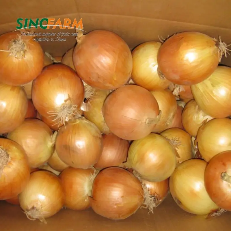 Цена свежего очищенного лука на экспорт в