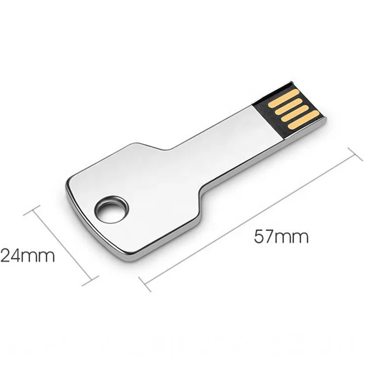 
Custom pendrive Key Shape Usb Usb flash drive 4gb 8gb 