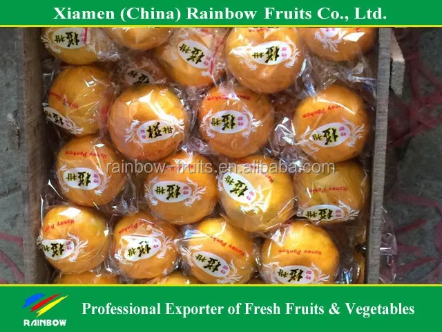 Chinese Fresh sweet Lokam Lokan Mandarin