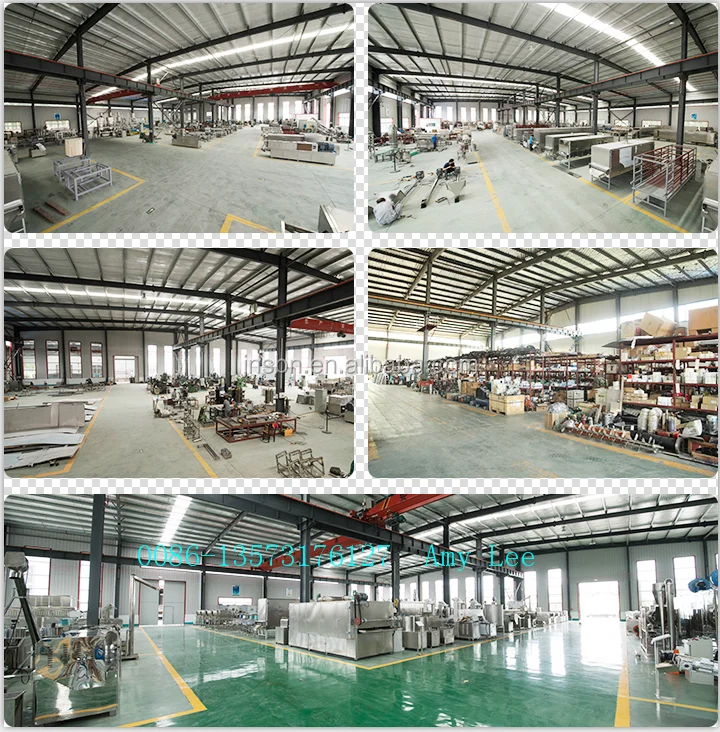 stainless steel full-auto pet food twin screw extruder