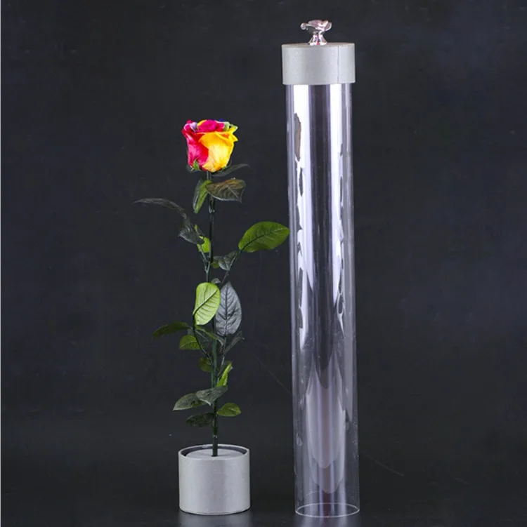 Natural Ecuadorian Roses preserved stem rose with gift box for Valentines Days
