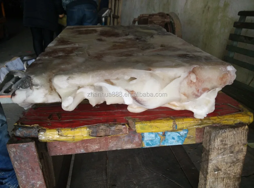 Giant Squid Neck Wholesale Squid Meat Raw Squid Neck