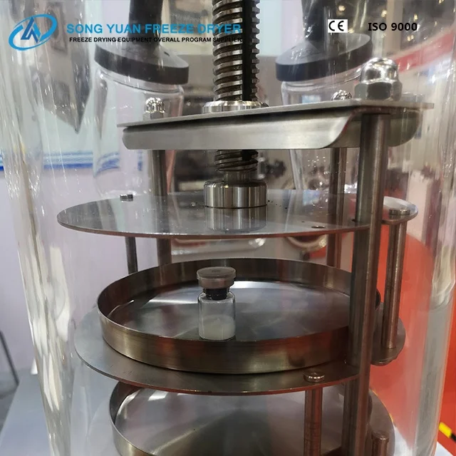 Small lab Vacuum Freeze Dryer machine Laboratory/Home Use Lyophilized food/fruit/powder