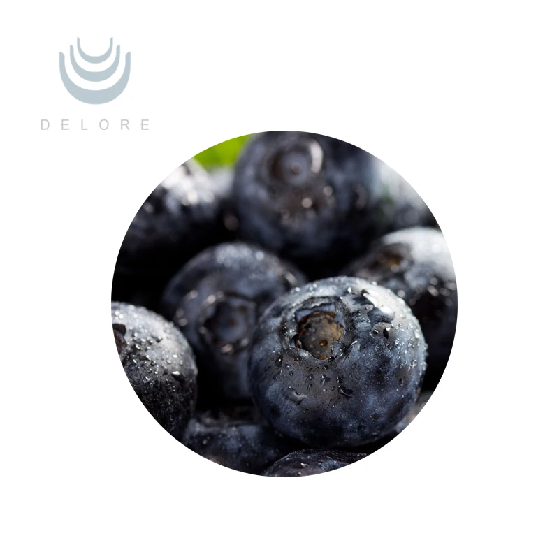 High quality with favorable price Proantho cyanidins / OPC supplement Bilberry Extract b2 Procyanidin