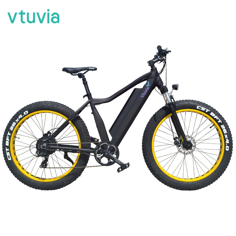 Hot sale fat tire mountain E bike 1000w 48v