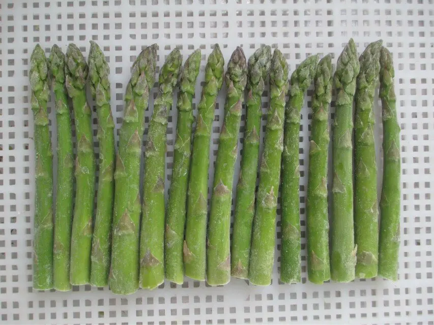 новая быстрозамороженная спаржа