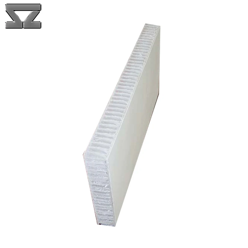 Australian standard FRP type top quality cheap workshop pp sides thin wall sandwich panel