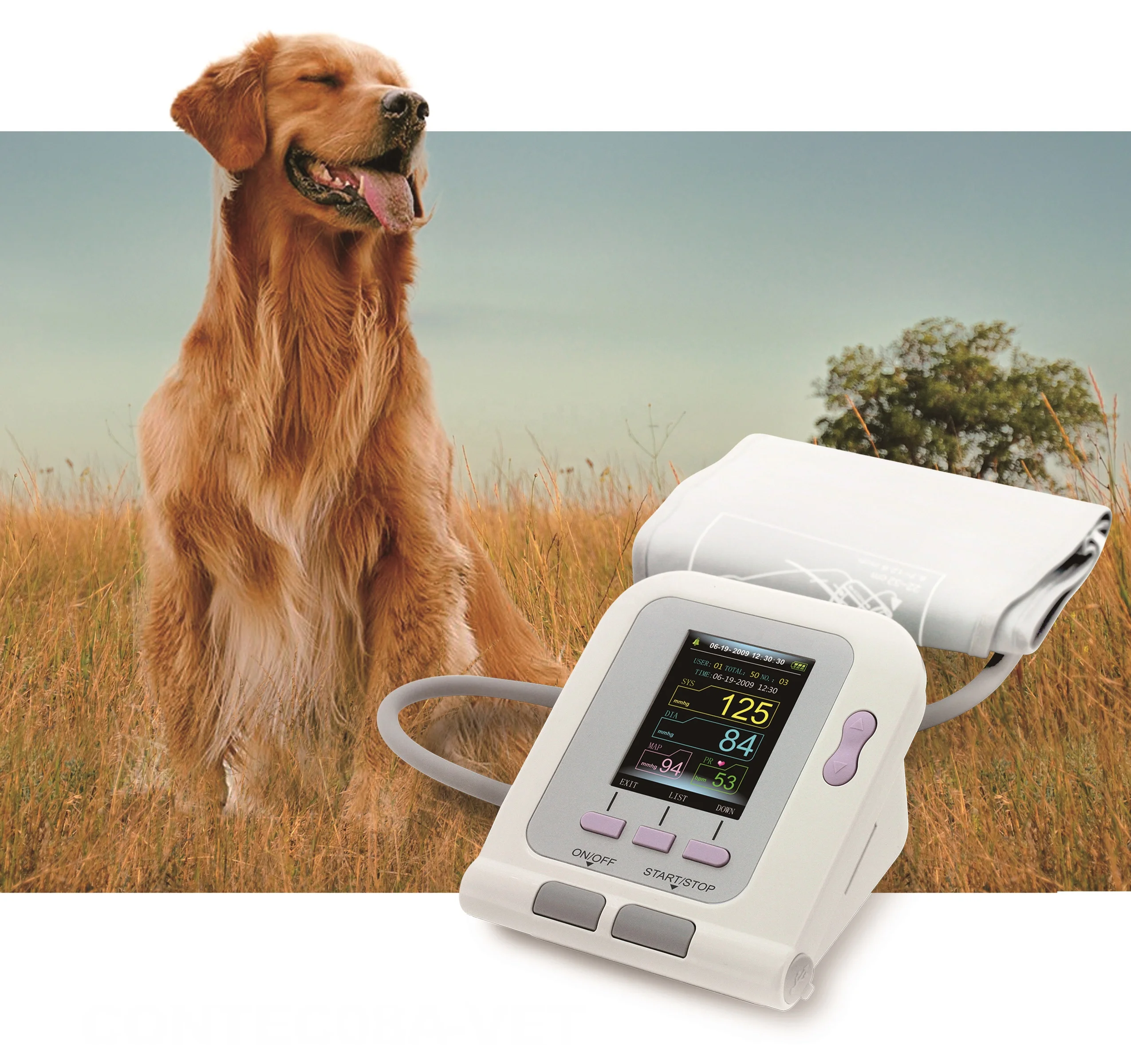 Meditech Digital Electronic Color Display Veterinary Clinic Blood Pressure Monitor Electric Plastic Spo2 Ce Full Automatic