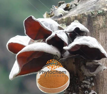
30% Polysaccharides Black Fungus Extract Auricularia Polytricha Extract 