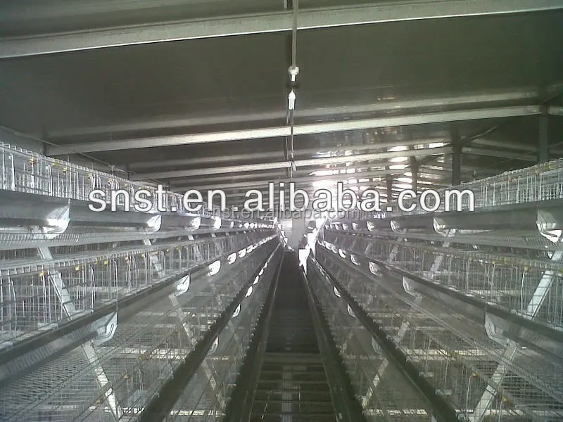 Good price second hand poultry show cages with CE certificate