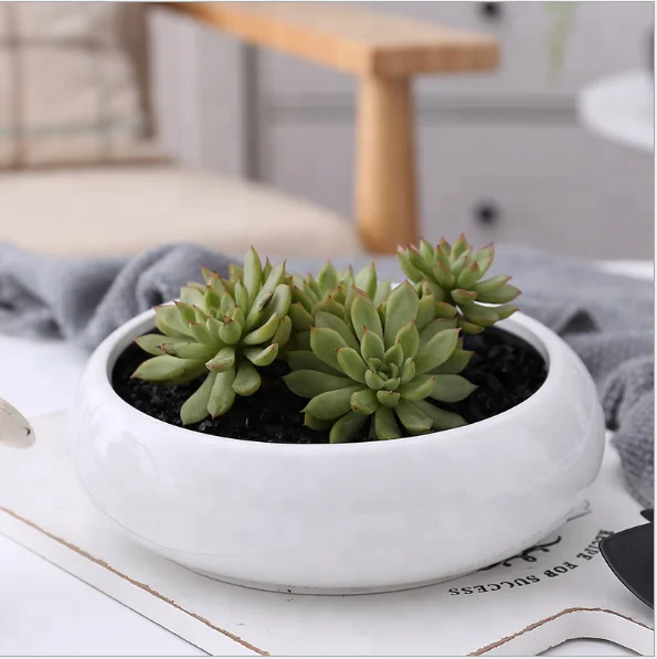 Ellipse fashion home ceramic flower pot
