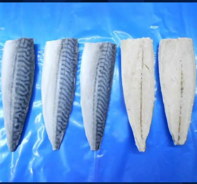 New Season Frozen Atlantic Mackerel Fillet