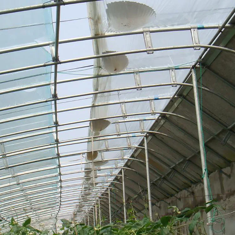 
Commercial used film cover passive chinese solar glass greenhouse 