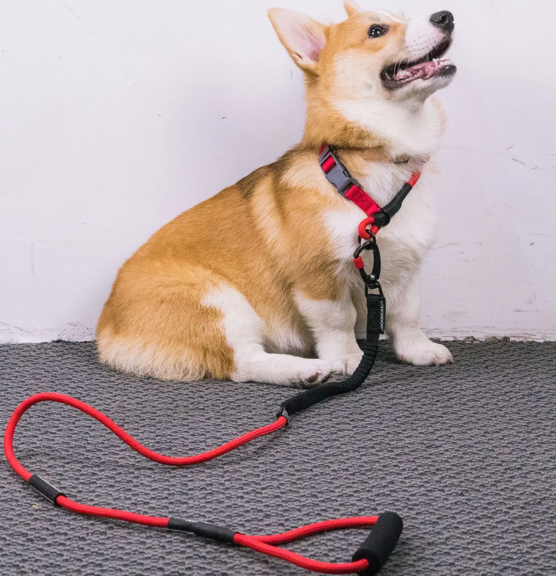 
Amazon Hot Selling Pet Products Nylon Brained Reflective Climbing Lead Dog Rope Leash 
