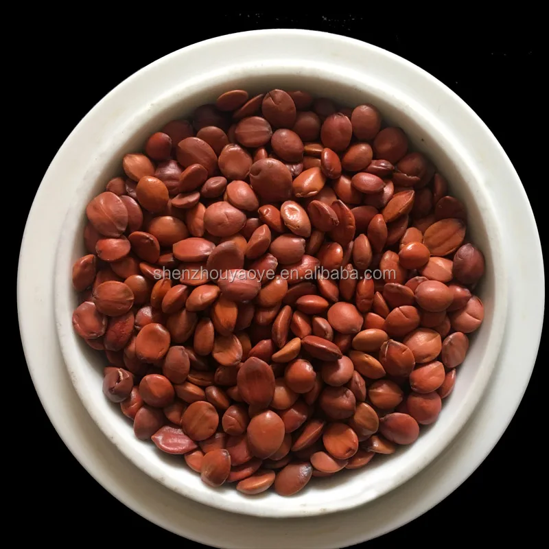 
insomnia Sleep aid Wild herb Dried Jujube Seed Semen Ziziphi Spinosae suan zao ren 