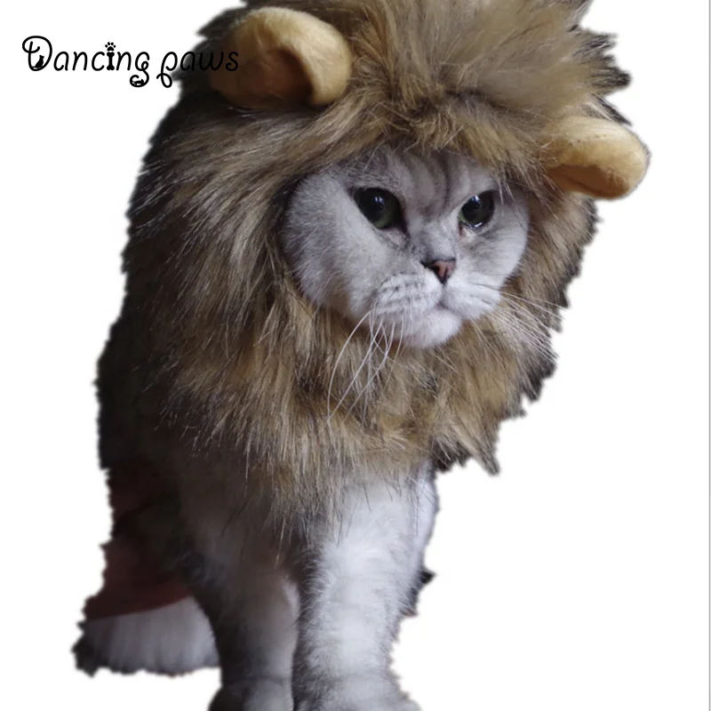 Wholesale Cat Lion Panda Mickey Mane Wig Cat Costume Hat Hair Cat Pet Puppy Cosplay Wig