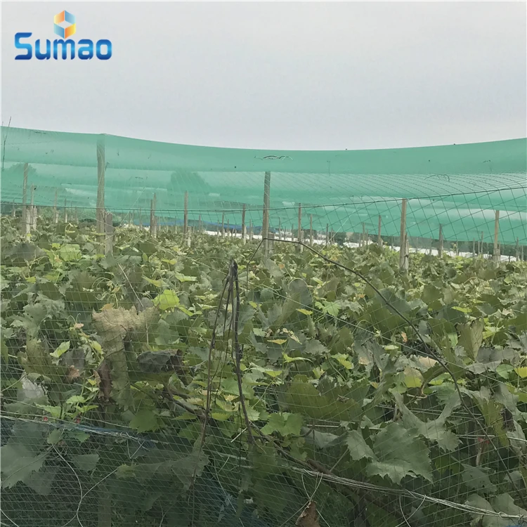 White color virgin new HDPE anti bird net with uv treated