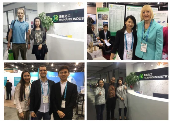 1,3-Benzodioxole CAS 274-09-9