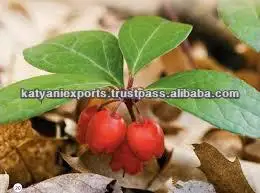 100% Pure Wintergreen Oil (Gaultheria)