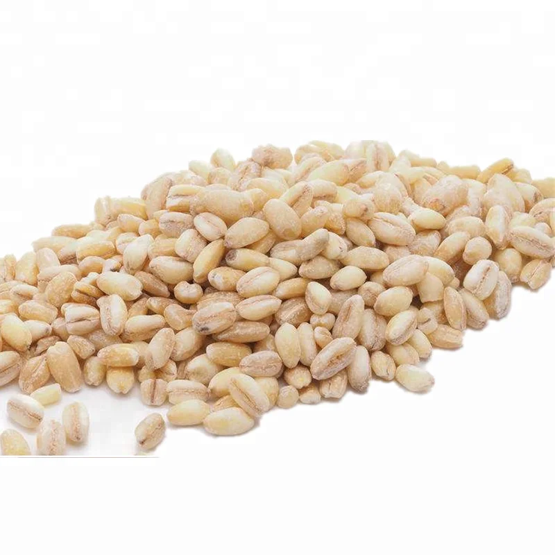 Поставщик зерна твердой пшеницы 1 класса 2